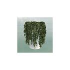 Errors Lease Of Life LP