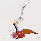 Future Islands The Far Field LP