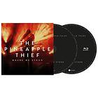 The Pineapple Thief Where We Stood CD