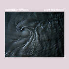 Pregnant Women Features LP