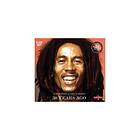 Bob Marley & The Wailers 30 Years Ago CD