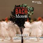 Ensemble Pygmalion Bach: Motets CD