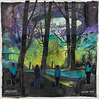 Eric's Trip Blue (Re-Issue) LP