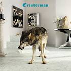 Grinderman 2 LP