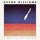 Devon Williams A Tear In The LP