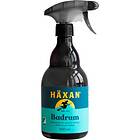 Häxan Badrumspray 650ml