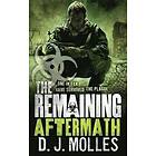 Remaining: Aftermath