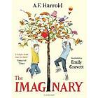 The Imaginary