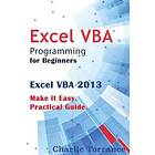 Excel VBA Programming for Beginners