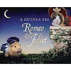 A Guinea Pig Romeo &; Juliet