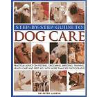 Step-by-step Guide to Dog Care