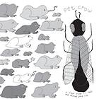 Pet Crow A Simple Guide To Small And Medium Pond LP