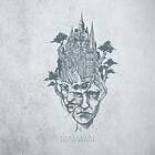 Fall Of Messiah Senicarne LP