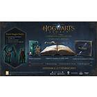 Hogwarts Legacy - Collectors Edition (PC)
