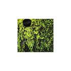 High Places Vs. Mankind CD