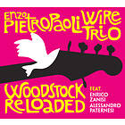 Pietropaoli & Wire Trio Woodstock Reloaded CD