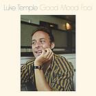 Luke Temple Good Mood Fool LP