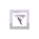 Agitation Free 2nd LP