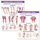 Trigger Point Chart Set: Torso & Extremities Lam