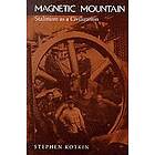 Magnetic Mountain