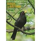 An Identification Guide to Birds of Britain and Northern Europe (2nd edition)