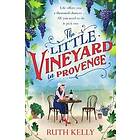 The Little Vineyard in Provence