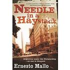 Needle in a Haystack