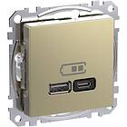 Schneider Electric Exxact WDE004983 USB-Ladduttag 2 utgångar, A+C metallic