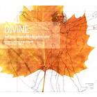 Divine : det gyllene rummet