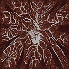 Trash Boat Crown Shyness CD