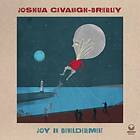 Cavanagh-Brierley Joshua Joy In Bewilderment CD