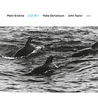 Peter Erskine Juni Touchstones Series CD