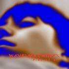 Wave Machines Pollen CD