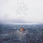 Shawn Mendes Wonder CD
