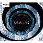 Orchestra Of The Swan Labyrinths CD