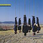 Alan Parsons Try Once CD