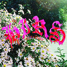 Hirs Collective Friends. Lovers. Favorites CD