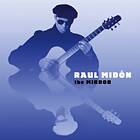 Raul Midon The Mirror CD