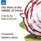 Matthew Berry Chilcott: The Rose In Middle Of Winter CD