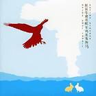 Sufjan Stevens Enjoy Your Rabbit CD