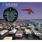 Pink Floyd A Momentary Lapse Of Reason (2019 Remix) CD