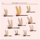 The Liftmen Luftwaffe Pond CD