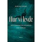 Hur vi levde : den gudomliga komedin om Sverige