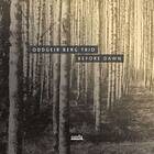 Oddgeir Trio Before The Dawn CD