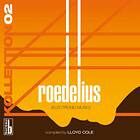 Roedelius Kollektion 02 Electronic Music Compiled By Lloyd Cole CD
