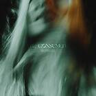 The Vagrants Be Consumed CD