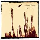 Alejandro Escovedo The Crossing CD