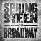 Bruce Springsteen On Broadway CD