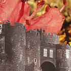 Deerhunter Microcastle / Weird Era Cont. CD