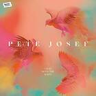 Pete Josef I Rise With The Birds CD